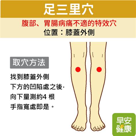 足山里 穴位|【按按穴位。完美圖解】足三里 增強免疫力、保健脾胃